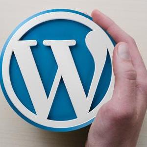 WordPress a Plataforma de Gerenciamento de Conteúdo | Solutio Web
